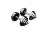 Гантели разборные ProfiGym 2x25 кг (пара) ГРХ-25